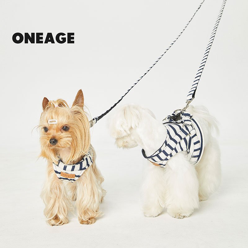 Dog Harness - stripe