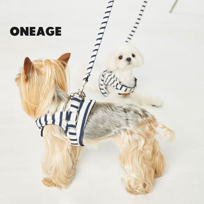 Dog Harness - stripe