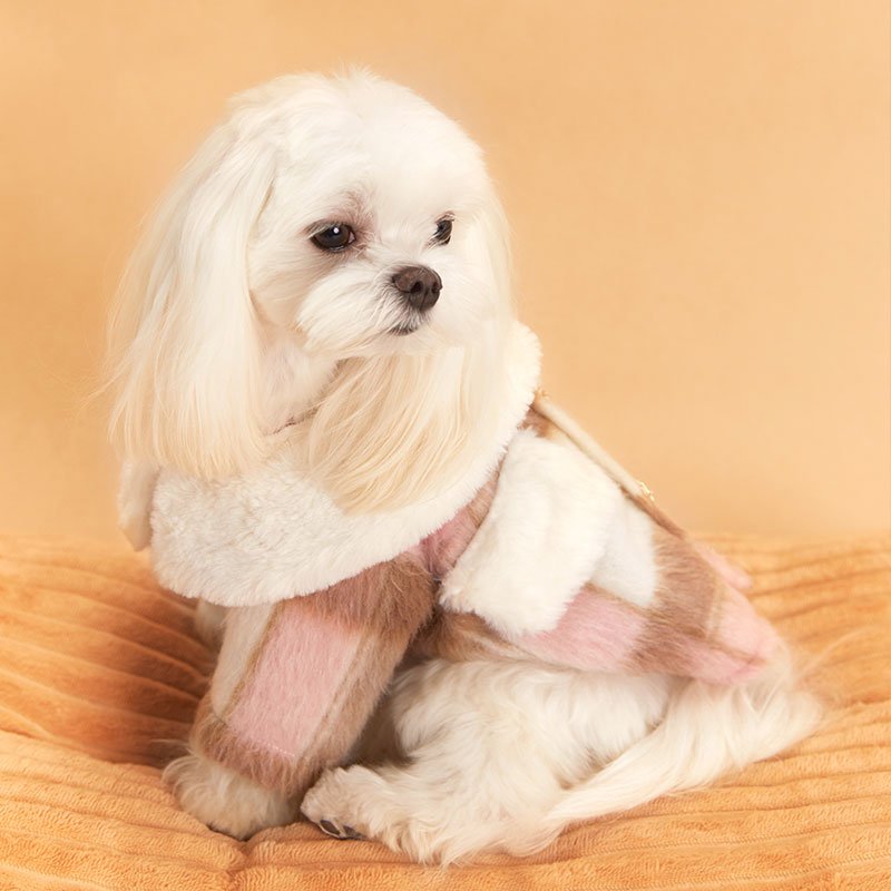 Dog down jacket-Pink