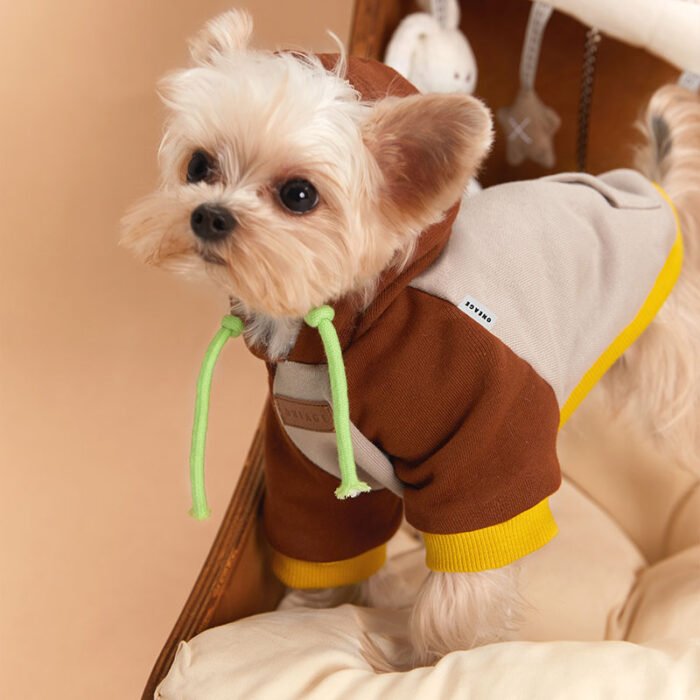 Essential Dog Hoodie-Orange edge